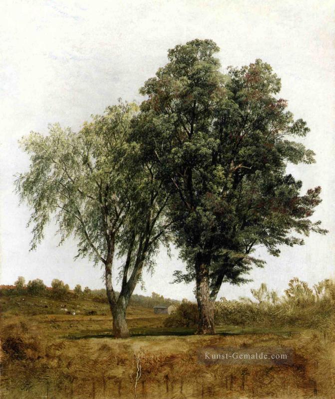 Eine Studie der Bäume Szenerie John Frederick Kensett Ölgemälde